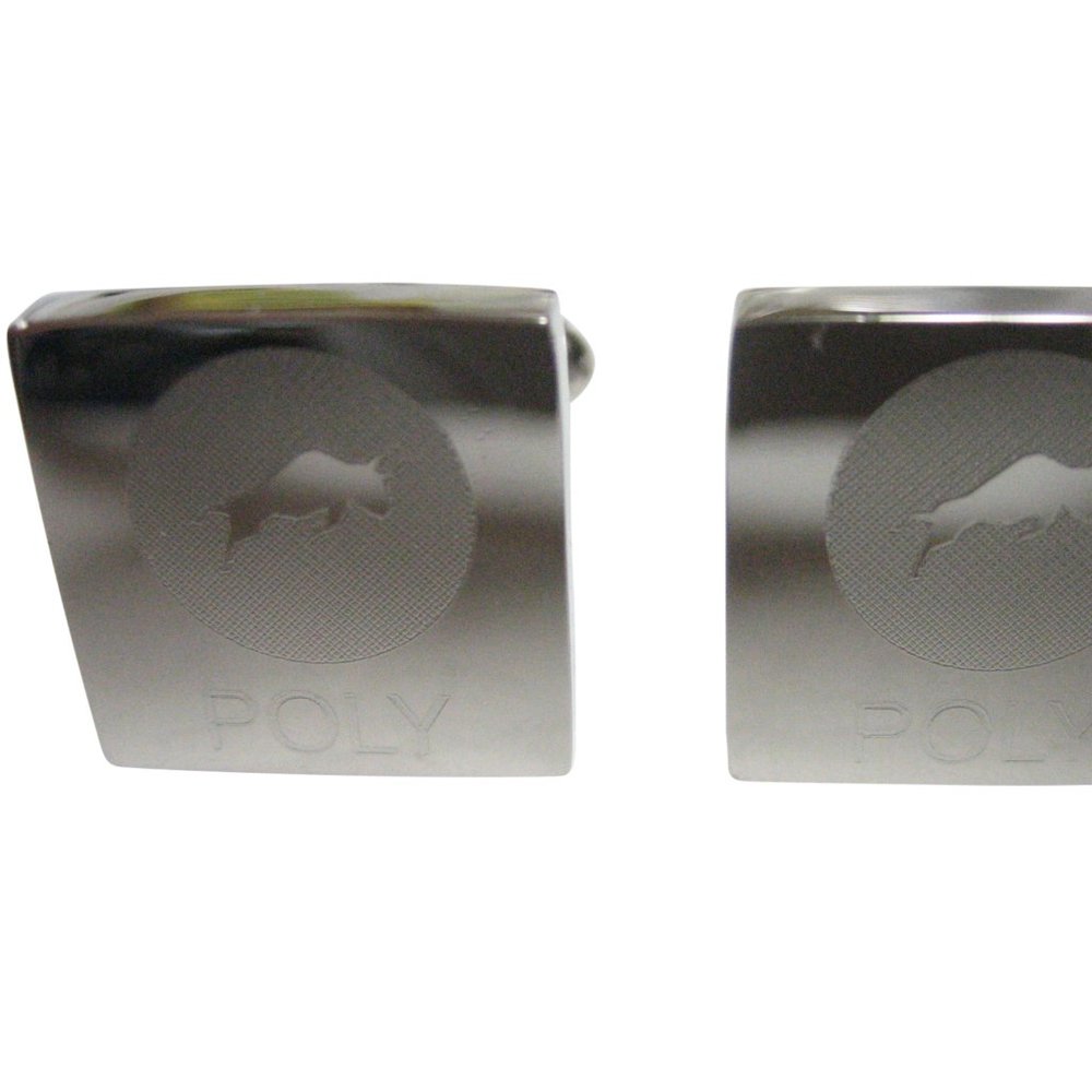 Polymath Coin POLY Cryptocurrency Blockchain Cufflinks